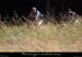20170730_075