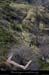 20111208_vtt_thines_ruinesdecombechaude2