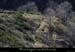 20111208_vtt_thines_ruinesdecombechaude4
