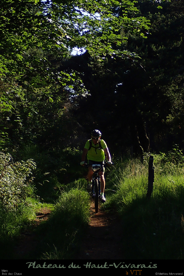 20170620_vtt_mars_boisdeschaux
