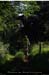 20170620_vtt_mars_boisdeschaux