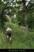 20120618_vtt_lalouvesc_lavialette1