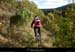 20101017_vtt_standeoldeberg_boisdemezeyras3