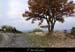 20111113_vtt_villeneuvedeberg_pistedutermenoir