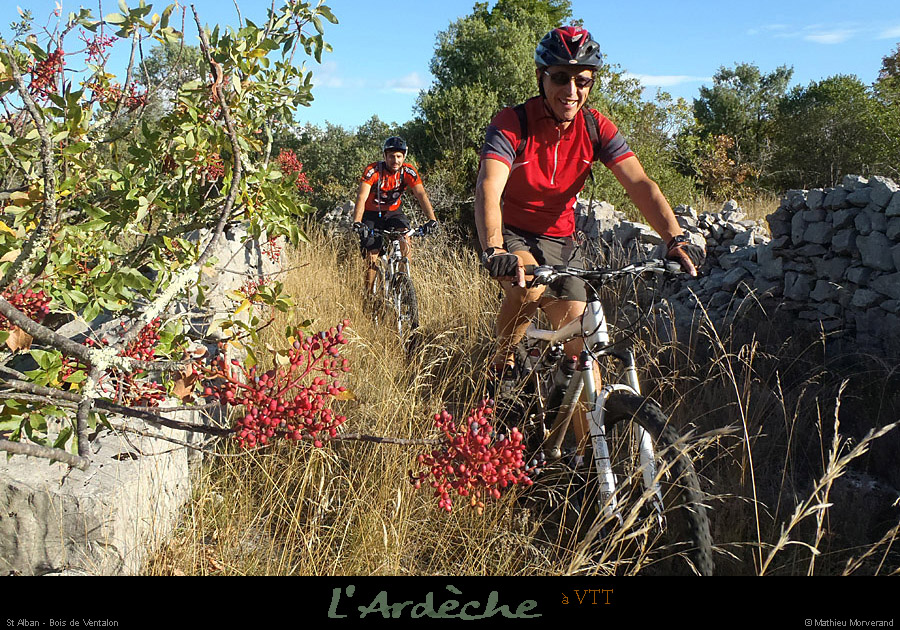 20120902_vtt_boisdeventalon3