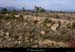20101106_vtt_lablachere_sentierjeanmonnet2