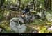 20120902_vtt_chandolas_combedefontgraze3