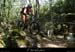 20130901_vtt_chandolas_boisderaoux04