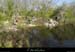 20160410_280