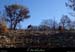 20171119_530