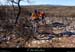 20171119_547