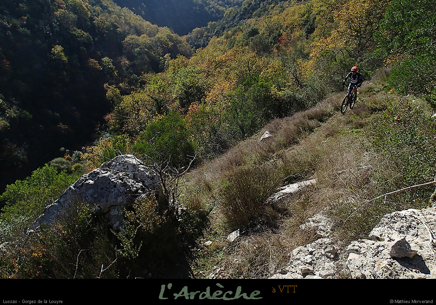 20151108_335