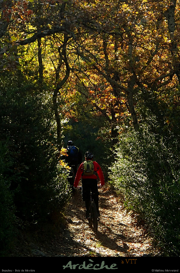 20131201_vtt_beaulieu_boisdemoviere1