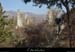 20130303_vtt_gras_ruinedefargier