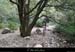 20131006_vtt_gorges_vpa_sentiertiourre2