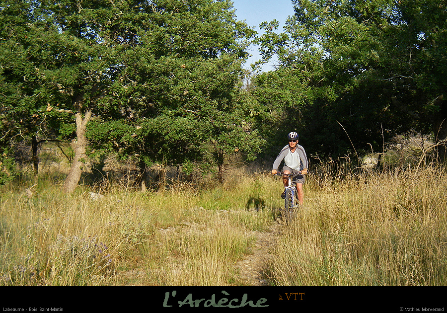 20080821_vttboisstmartin