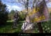 20101106_vtt_labeaume_chemindegadret2