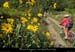20130922_vtt_vinezac_pistedelembras