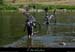 20130725_vtt_salavas_ardecheague