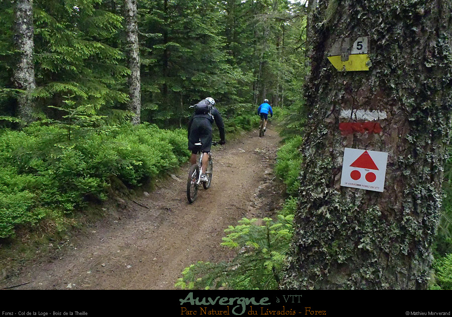 20130621_vtt_forez_coldelaloge_boisdelatheille