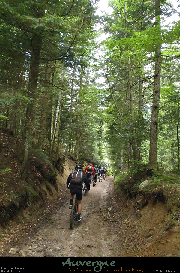 20130621_vtt_forez_larenaudie_boisdelafarge