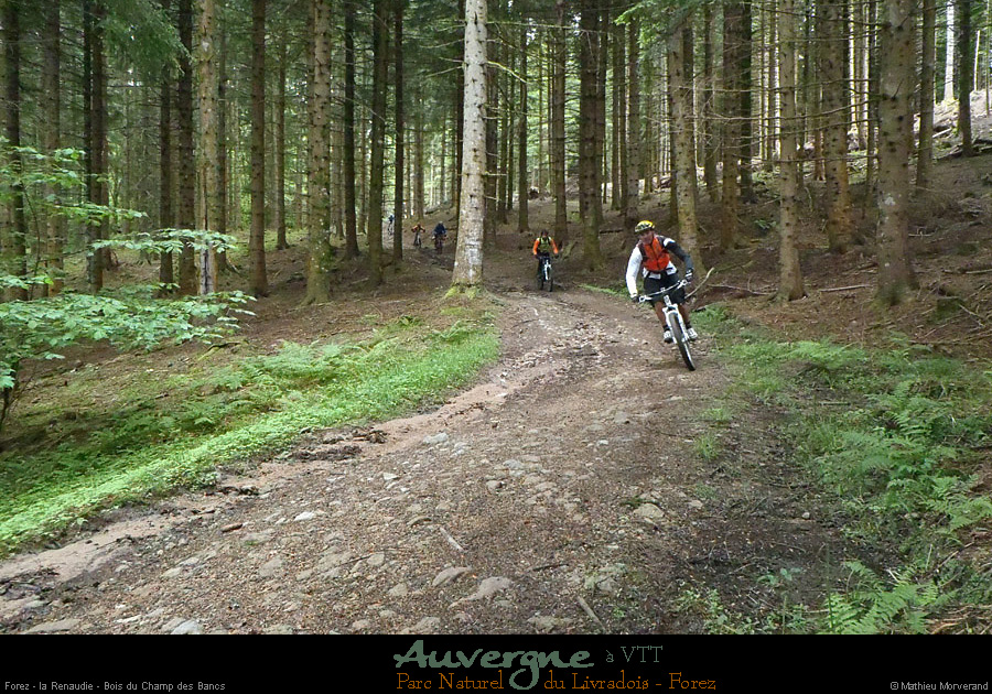 20130621_vtt_forez_larenaudie_boisduchampdesbancs