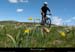 20130613_vtt_pierresurhaute_job_platdelaricharde2