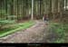 20130621_vtt_forez_larenaudie_boisduchampdesbancs