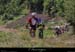 20150618_551