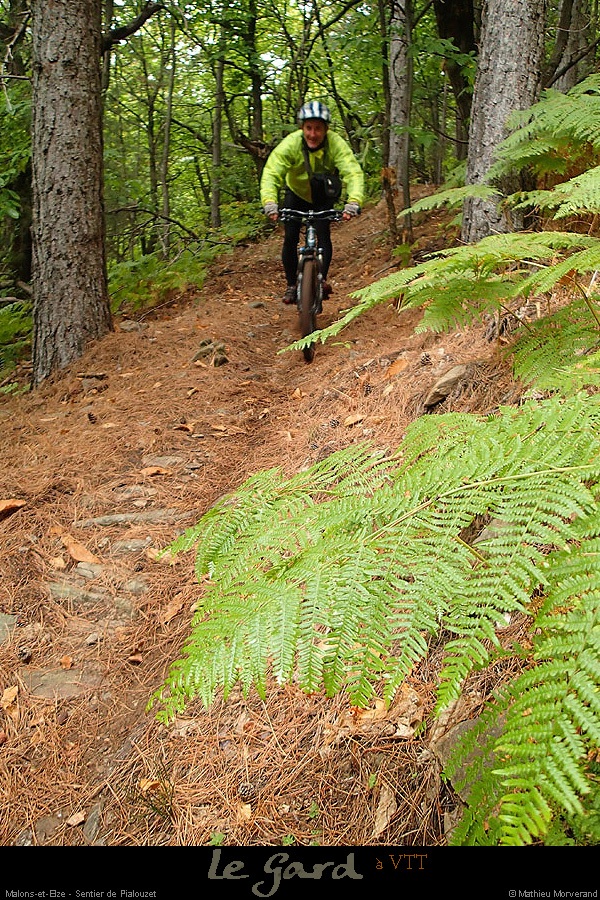 20131012_vtt30_malons_sentierdepialouzet3