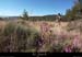 20130811_vtt_bonnevaux_chamdecessenades04