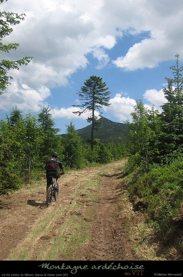 20090617_foretmezenc43_1