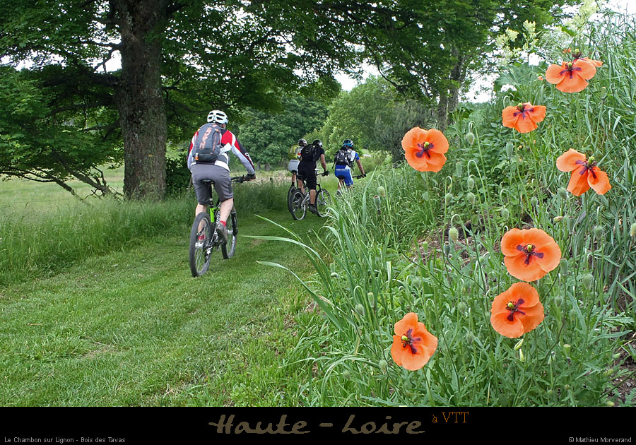 20120619_vtt43_lechambonsurlignon_boisdestavas