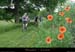20120619_vtt43_lechambonsurlignon_boisdestavas