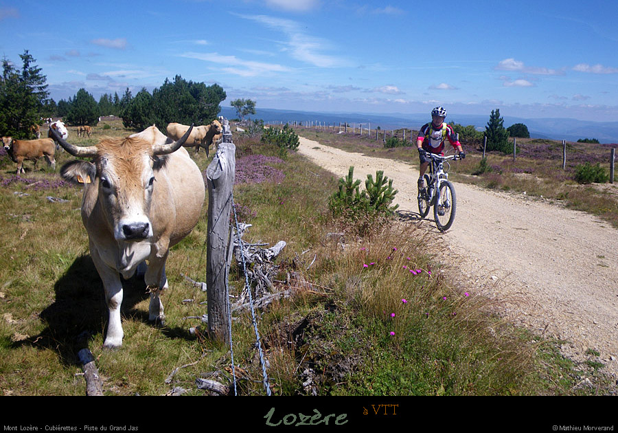 20110804_vtt_cubierettes_pistedugrandjas1