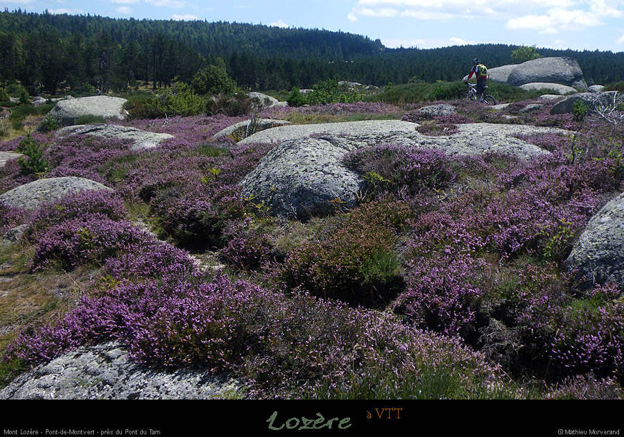 20110804_vtt_ptdemontvert_pentespresduptdutarn2