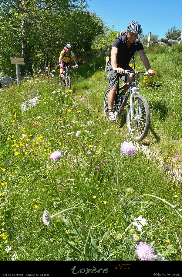 20130630_vtt_ptdemontvert_gr7salarial2