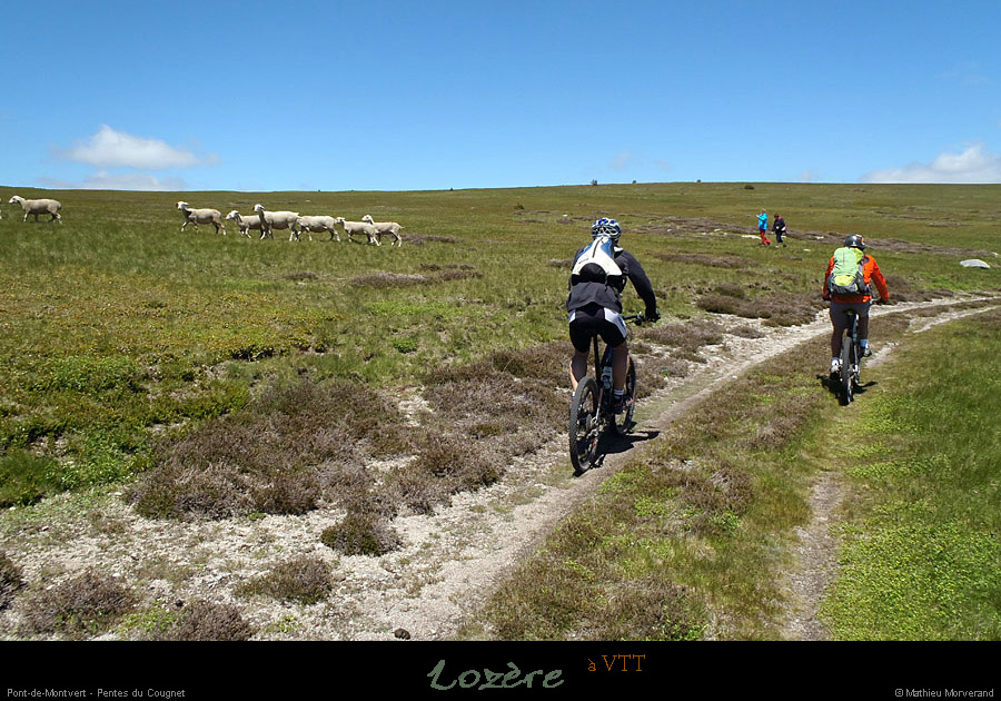 20130630_vtt_ptdemontvert_pentesducougnet2