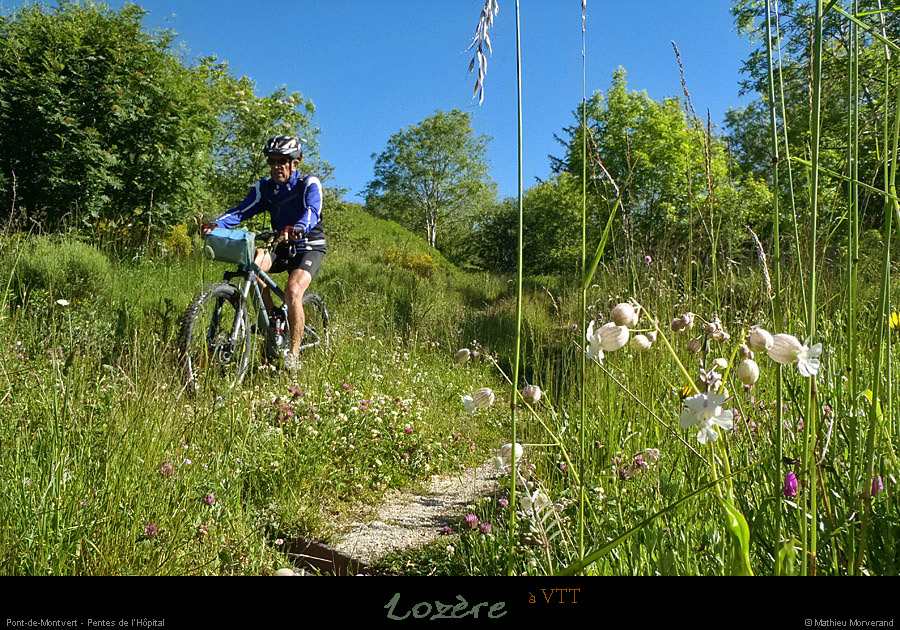 20130630_vtt_ptmontvert_lhopital_2