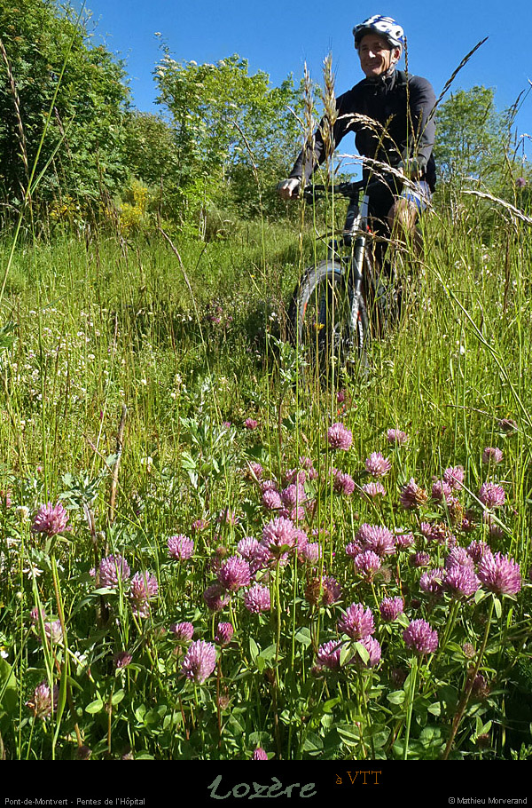 20130630_vtt_ptmontvert_lhopital_3