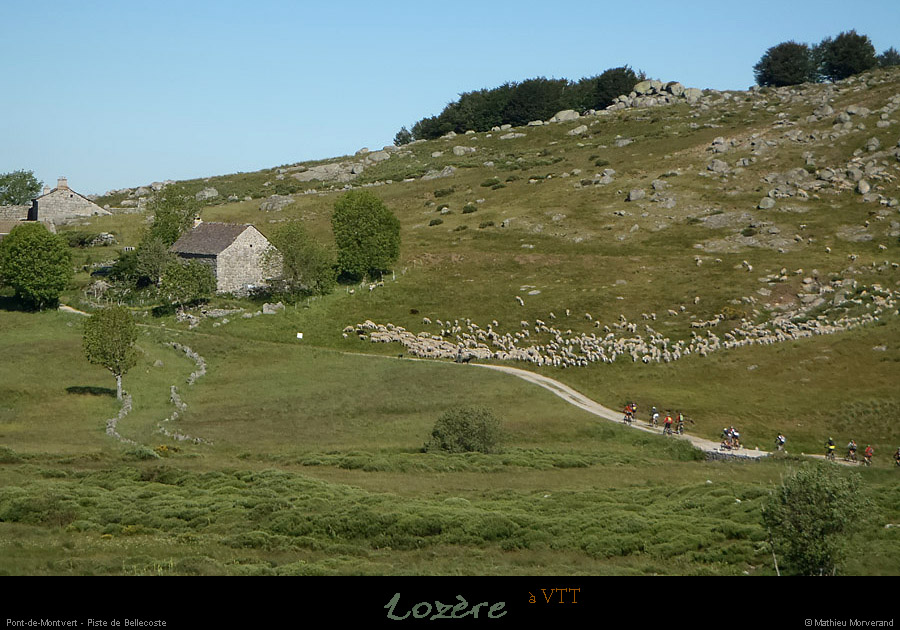 20130630_vtt_ptmontvert_pistebellecoste