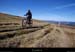 20100911_vtt_mtlozere_tracestevensonsousfiniels08