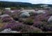 20110804_vtt_ptdemontvert_pentespresduptdutarn2