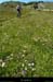20130630_vtt_ptdemontvert_predebellecoste2