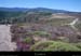 20110731_vtt_pieddeborne_pisteduplateaudesbalmelles4