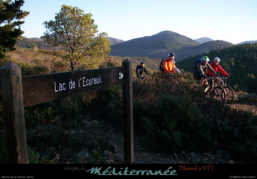 20111223_vtt_esterel_baissedelagrossevache1