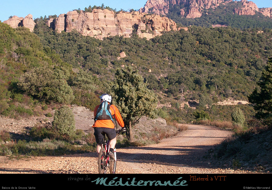 20111223_vtt_esterel_baissedelagrossevache3