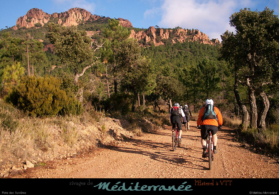 20111223_vtt_esterel_pistedessuvieres2
