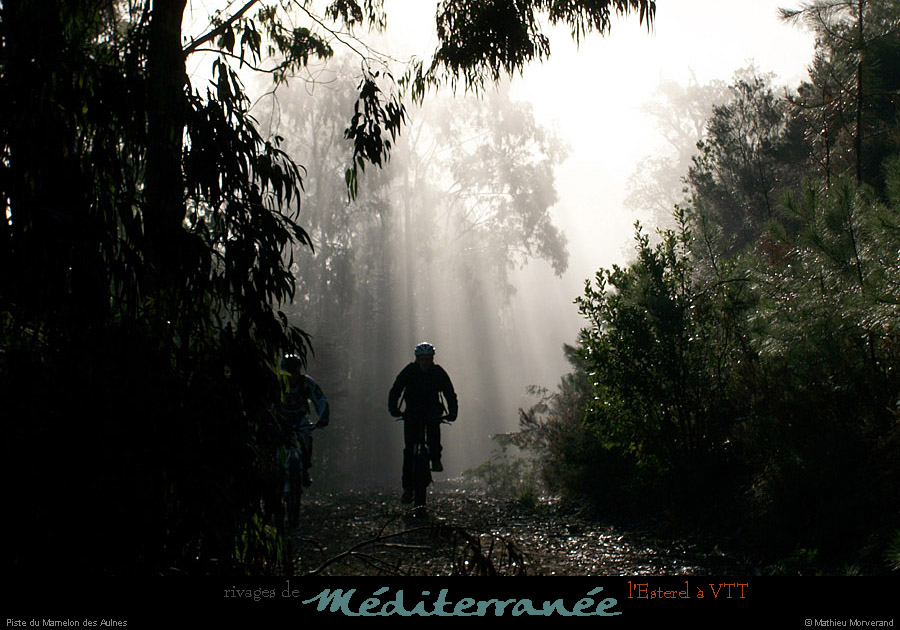 20111223_vtt_esterel_pistedumamelondesaulnes2
