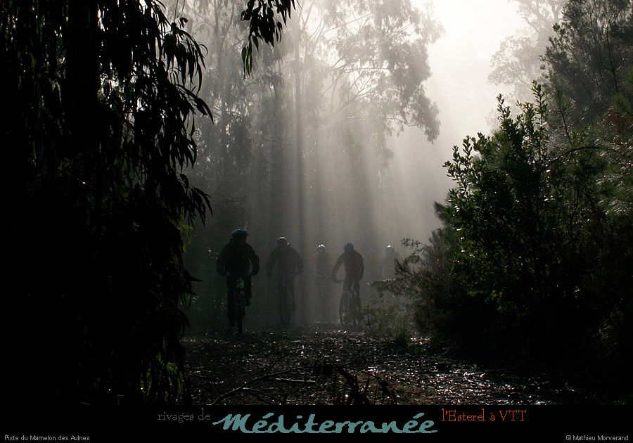 20111223_vtt_esterel_pistedumamelondesaulnes3